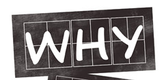 why essay怎么写,why essay写作技巧,why essay,英文论文写作技巧