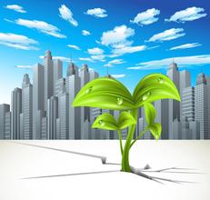 Building services,essay代写,marketing strategy,留学生作业代写,论文代写