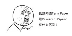 Research Paper是什么,Term Paper是什么,Term Paper与Research Paper区别,paper代写,留学生作业代写
