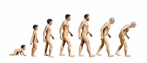 lifelong learning,essay代写,Human development,留学生作业代写,论文代写