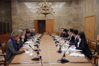 paper代写,board of directors,留学生作业代写,Management paper,论文代写