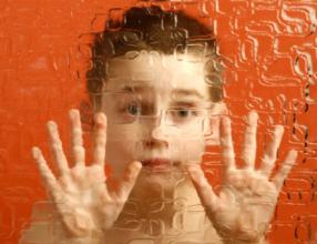 report代写,Autism Spectrum Disorder,留学生作业代写,Autistic disorder,论文代写