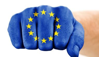 essay代写,European Union,留学生作业代写,EU's eastward expansion,论文代写