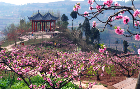 essay代写,Cultural and creative tourism,留学生作业代写,成都国际桃花节,论文代写