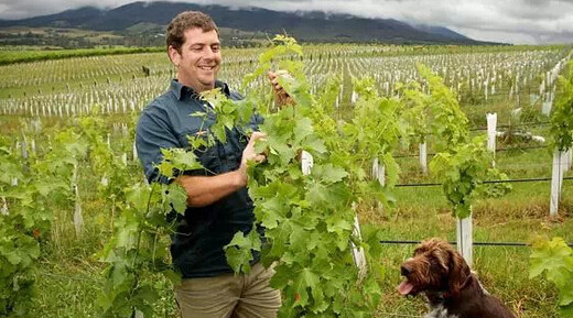 assignment代写,Economics assignment,留学生作业代写,Agricultural economic development,论文代写