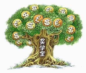 留学,加拿大留学,加拿大留学奖学金,加拿大奖学金申请,留学生作业代写