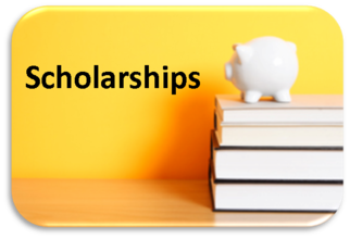 留学,scholarship essay,奖学金essay,essay怎么写,留学生作业代写