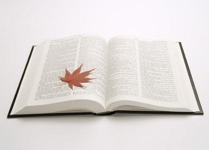 五段式论文,Five paragraph essay,英文论文写作技巧,essay代写,留学生作业代写