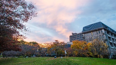 留学,新西兰留学,新西兰公立大学,新西兰大学有哪些,留学生作业代写