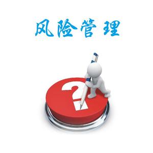essay代写,风险管理,留学生作业代写,Risk Management Essay,论文代写