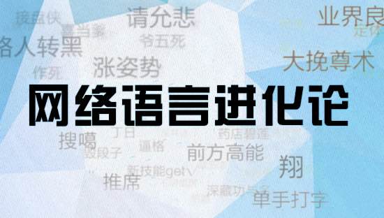 NET language,网络语言,留学生作业代写,paper代写,留学生作业代写