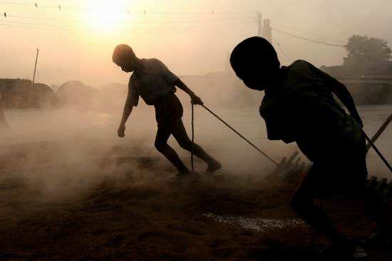 Child Labor,童工,留学生作业代写,paper代写,美国作业代写