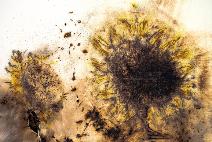 Cai Guo Qiang,蔡国强,美国论文代写,assignment代写,美国作业代写