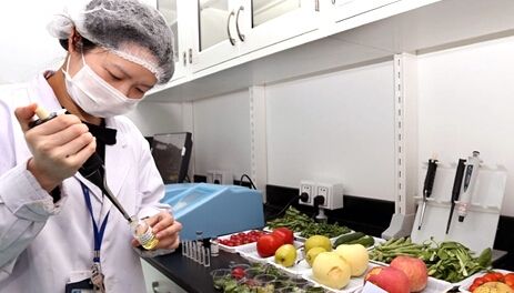 Food Safety,Information Technology,留学生作业代写,paper代写,澳洲代写 Food Safety,Information Technology,留学生作业代写,paper代写,澳洲代写