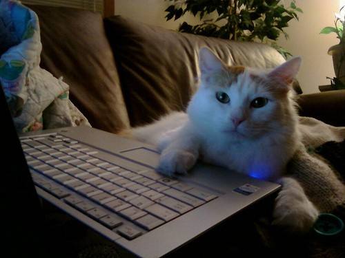 Internet Addiction,网络成瘾,留学生作业代写,paper代写,澳洲代写 Internet Addiction,网络成瘾,留学生作业代写,paper代写,澳洲代写