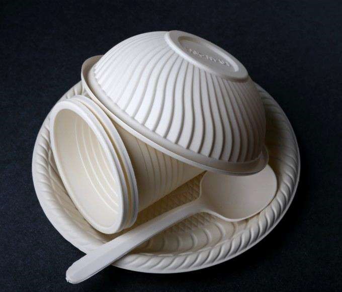 disposable products,一次性产品,留学生作业代写,essay代写,加拿大代写