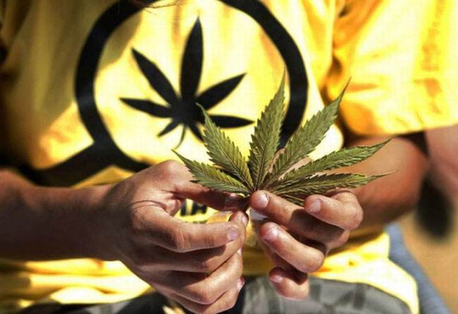 Legalization of marijuana,大麻合法化,assignment代写,paper代写,留学生作业代写