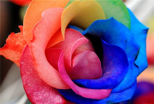 color emotion,色彩情感,essay代写,paper代写,美国作业代写