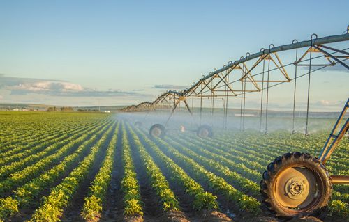 agricultural development,农业发展,essay代写,paper代写,美国作业代写 agricultural development,农业发展,essay代写,paper代写,美国作业代写