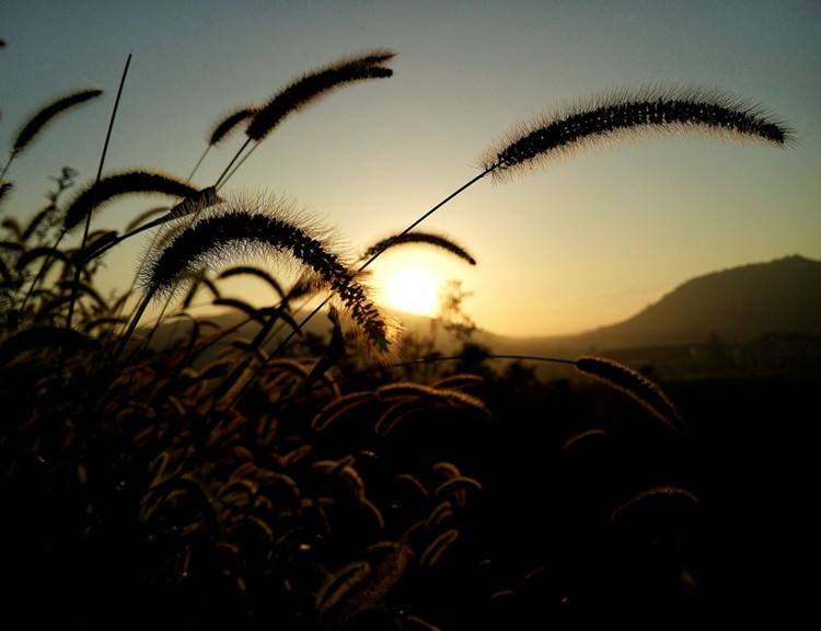 artistic conception,创作意境,essay代写,paper代写,美国作业代写 artistic conception,创作意境,essay代写,paper代写,美国作业代写