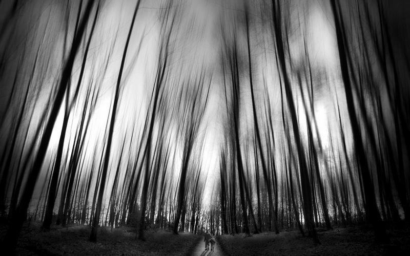 photographic art,摄影艺术,essay代写,paper代写,美国作业代写 photographic art,摄影艺术,essay代写,paper代写,美国作业代写