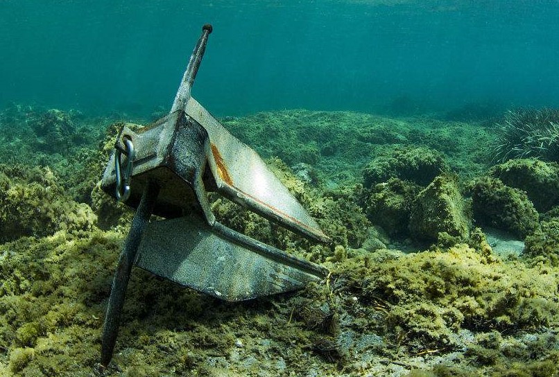 Ocean News Report,海洋新闻报道,assignment代写,paper代写,留学生作业代写