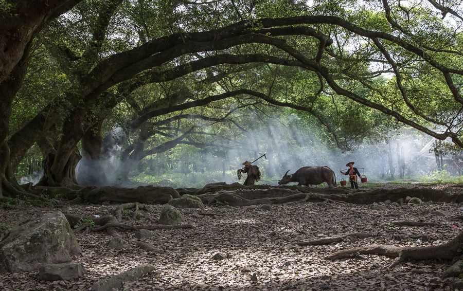 humanistic quality,人文素质,论文代写,paper代写,北美作业代写 humanistic quality,人文素质,论文代写,paper代写,北美作业代写