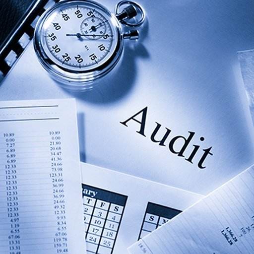 Audit importance,审计重要性,essay代写,paper代写,作业代写 Audit importance,审计重要性,essay代写,paper代写,作业代写