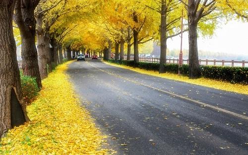 legal methodology,法学方法论,essay代写,paper代写,作业代写 legal methodology,法学方法论,essay代写,paper代写,作业代写