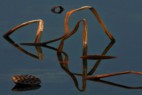 photography art,摄影艺术审美意境,assignment代写,paper代写,美国作业代写