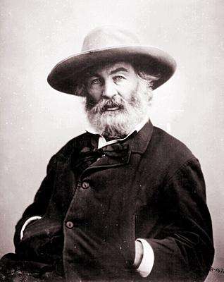 Whitman's poetry,惠特曼的诗歌,assignment代写,paper代写,美国作业代写 Whitman's poetry,惠特曼的诗歌,assignment代写,paper代写,美国作业代写