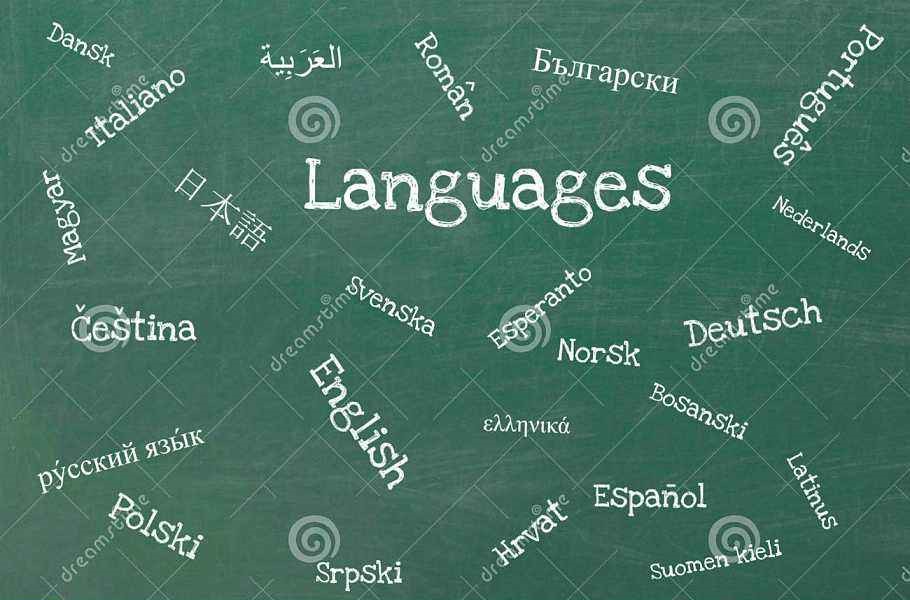 language,语言,essay代写,作业代写,代写