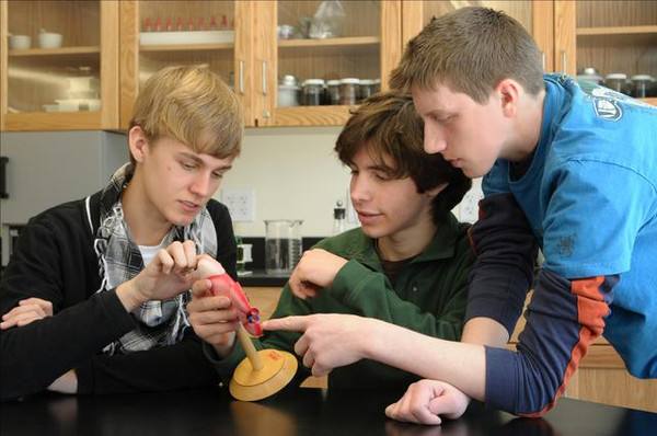 American higher education,美国高等教育的服务职能,assignment代写,作业代写,美国作业代写 American higher education,美国高等教育的服务职能,assignment代写,作业代写,美国作业代写