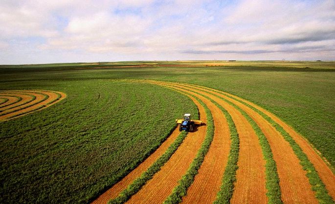 American agriculture,美国农业,essay代写,作业代写,代写