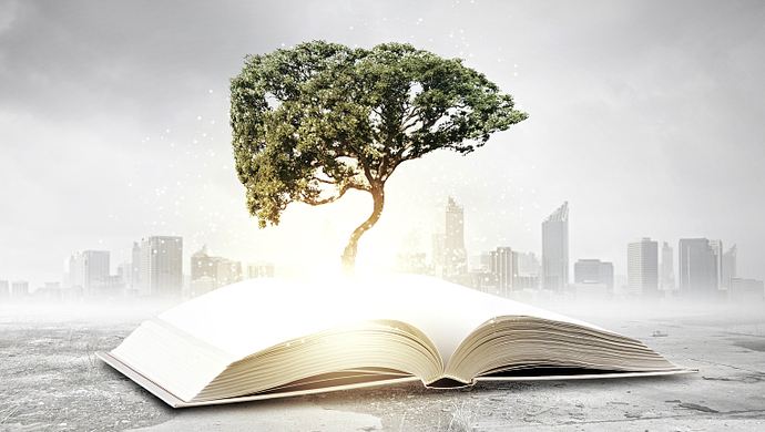 American ecological literature,美国生态文学,assignment代写,essay代写,美国作业代写