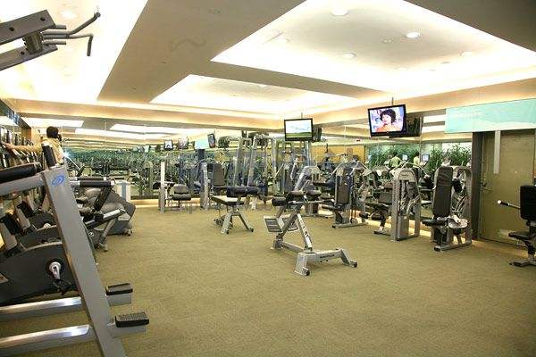 national fitness,美国全民健身,essay代写,作业代写,代写