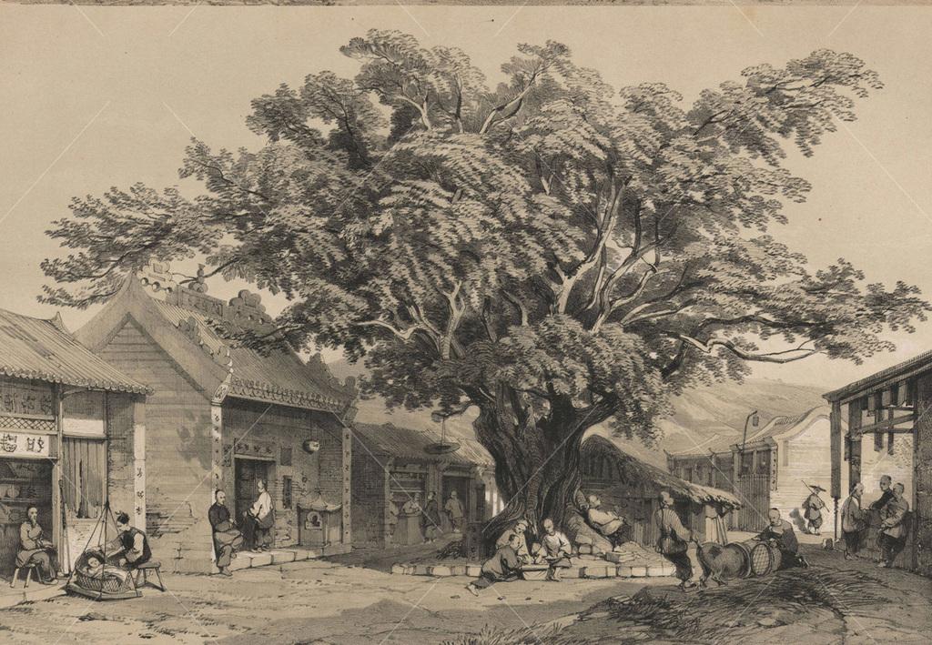 Ch’ing,清代,essay代写,paper代写,作业代写 Ch’ing,清代,essay代写,paper代写,作业代写