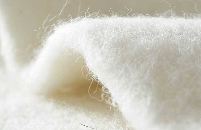 fleece,羊毛,essay代写,paper代写,作业代写