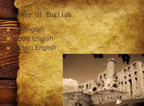 English language,英国语言发展的影响因素,essay代写,作业代写,代写