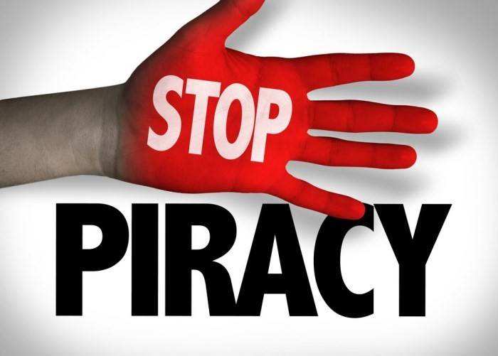Anti-piracy,美国反盗版行动,essay代写,作业代写,代写