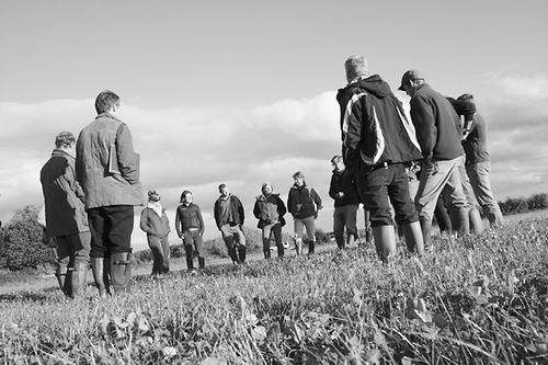 free farmer,英国自由农民起源,essay代写,作业代写,代写 free farmer,英国自由农民起源,essay代写,作业代写,代写