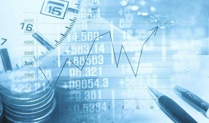 Enterprise Group,企业集团财务管理,essay代写,paper代写,作业代写