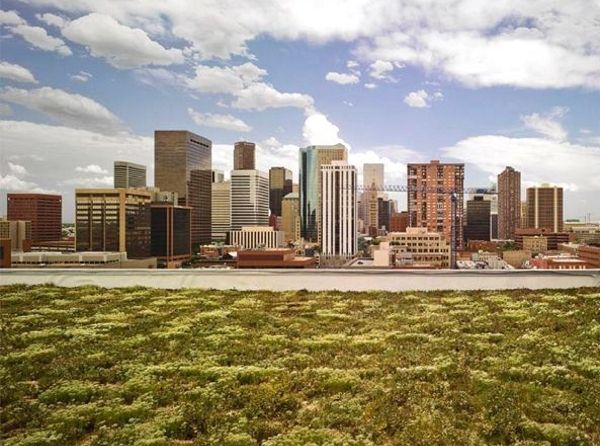 Environmental justice,美国环境正义,essay代写,作业代写,代写 Environmental justice,美国环境正义,essay代写,作业代写,代写