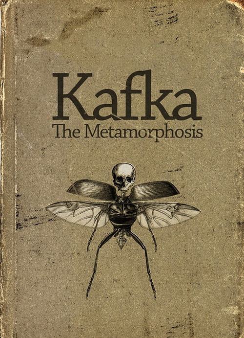 Metamorphosis,变形记,essay代写,paper代写,作业代写 Metamorphosis,变形记,essay代写,paper代写,作业代写