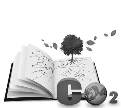 carbon emission,欧盟碳排放交易体系,essay代写,作业代写,代写