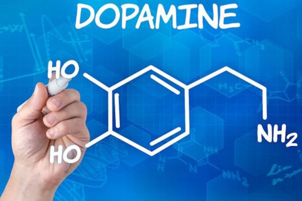 Gene,基因对行为的影响,essay代写,作业代写,代写 Gene,基因对行为的影响,essay代写,作业代写,代写