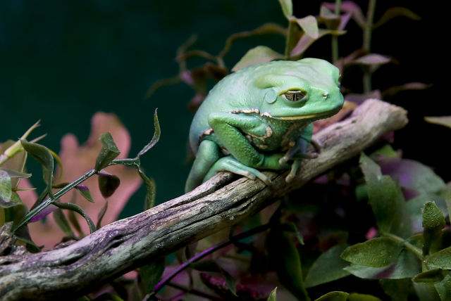 natural science,自然科学,essay代写,paper代写,作业代写 natural science,自然科学,essay代写,paper代写,作业代写