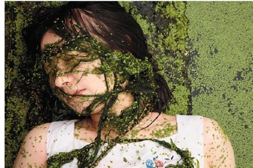 Ecofeminism,生态女性主义,essay代写,paper代写,作业代写 Ecofeminism,生态女性主义,essay代写,paper代写,作业代写