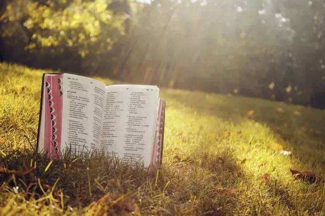 Biblical worldview,圣经世界观,essay代写,paper代写,作业代写 Biblical worldview,圣经世界观,essay代写,paper代写,作业代写