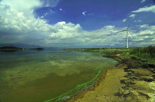 Low carbon action,低碳行动,essay代写,paper代写,作业代写 Low carbon action,低碳行动,essay代写,paper代写,作业代写